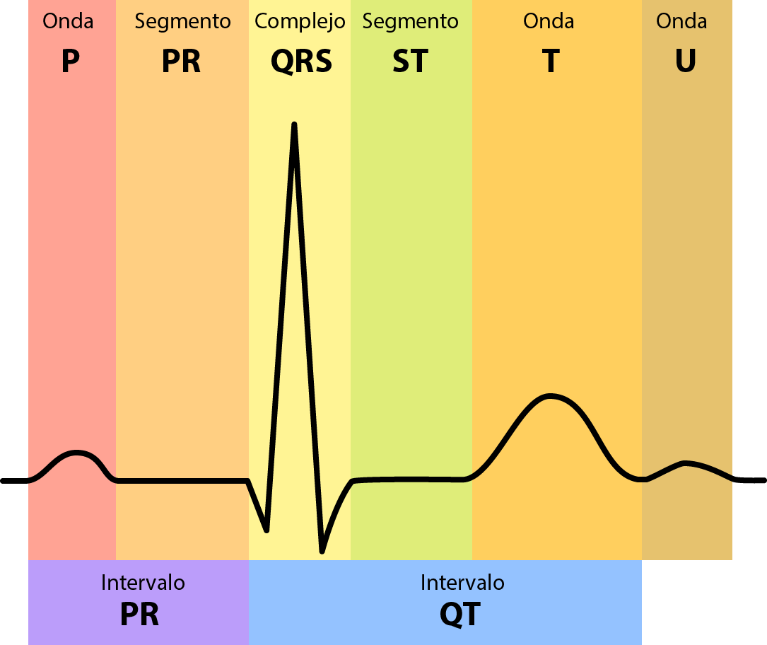 Electrocardiografía básica