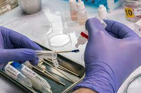 Abordaje para el cuidado legal y forense