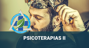 e-Psicoterapias II