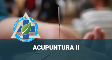 e-Acupuntura II