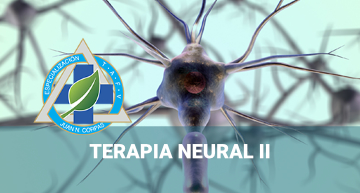 e-Terapia neural II
