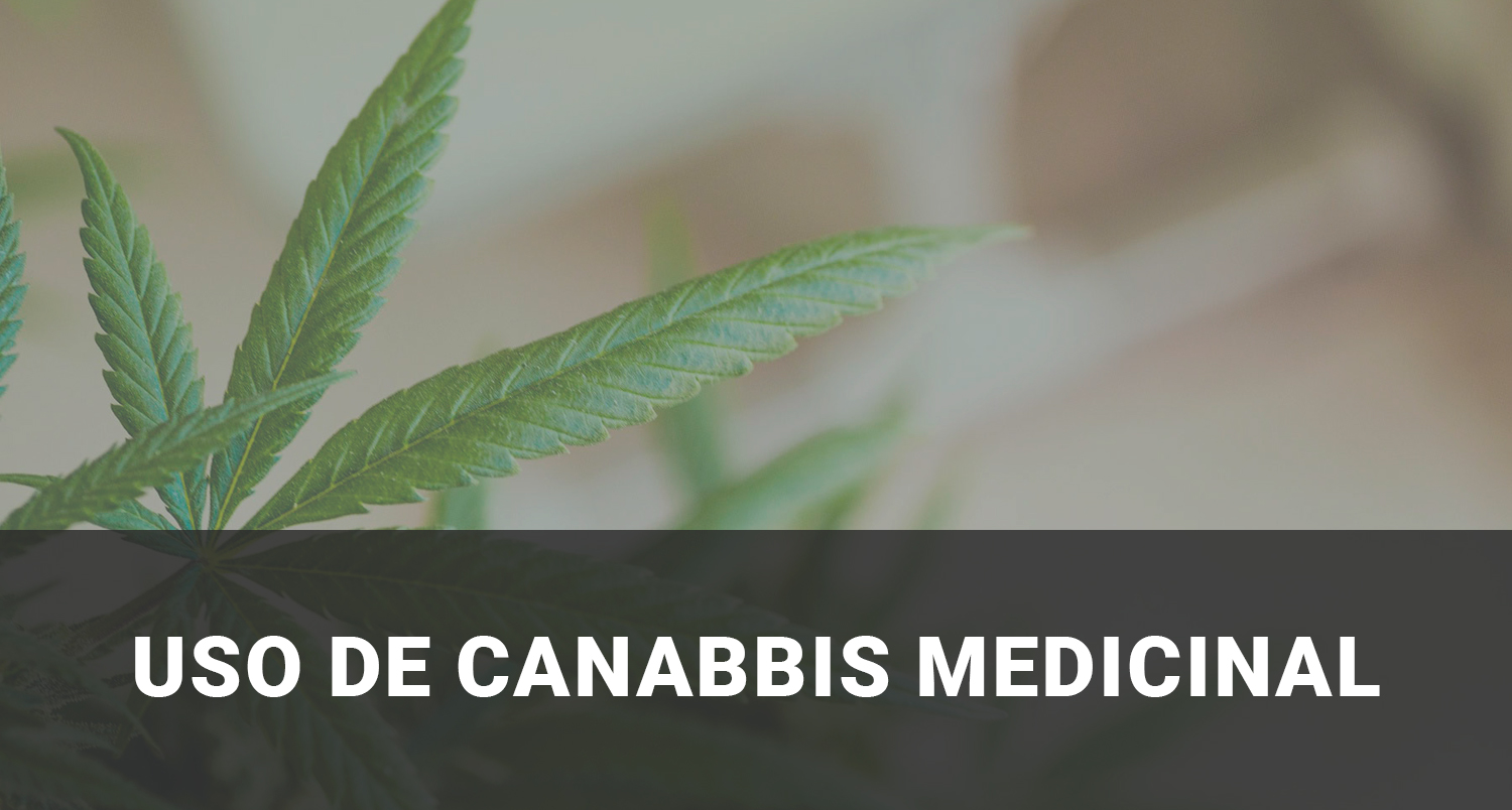 Uso de Cannabis medicinal en el paciente oncológico